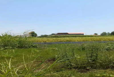 زمین ۲۰۰ متر روستای دنج کیابسر شهرکی