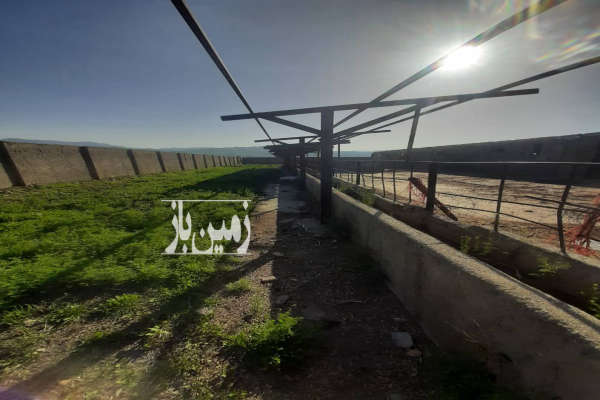 گاوداری با ۱۶ هزار متر زمین در روستای شریف آباد-2