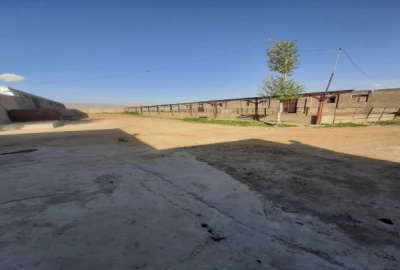 گاوداری با ۱۶ هزار متر زمین در روستای شریف آباد