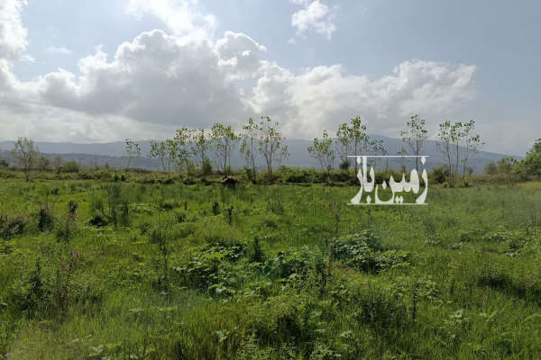 زمین باغی مسکونی در روستای قاضیان ۹۱۴ متر-1