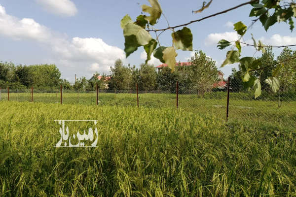 زمین باغی مسکونی در روستای قاضیان ۹۱۴ متر-2