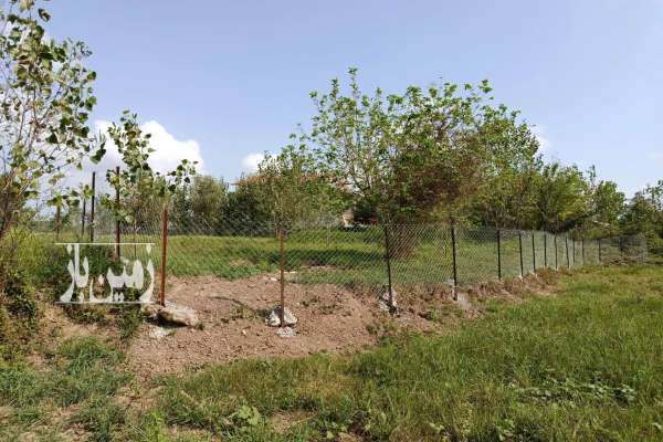زمین باغی مسکونی در روستای قاضیان ۹۱۴ متر-3