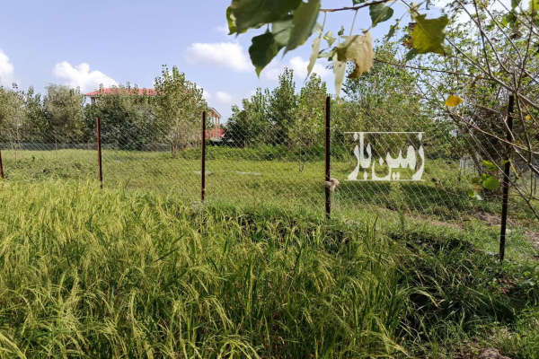 زمین باغی مسکونی در روستای قاضیان ۹۱۴ متر-4
