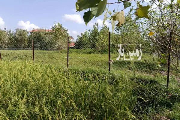 زمین باغی مسکونی در روستای قاضیان ۹۱۴ متر - تصویر 4
