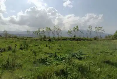 زمین باغی مسکونی در روستای قاضیان ۹۱۴ متر