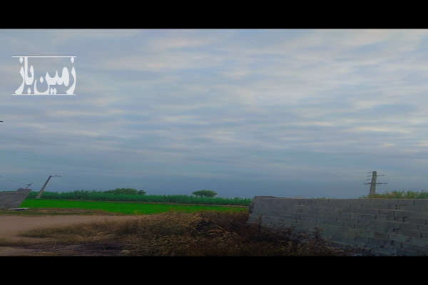 زمین مسکونی ۱۰۰۰ متری در فریدونکنار روستای بزرگ بیشه محله-2