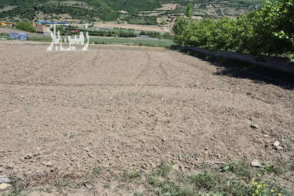 زمین کشاورزی در جاده کیاسر ورودی جاده ی تلوکلا ۲۰۰۰ متر-1