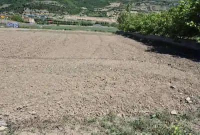 زمین کشاورزی در جاده کیاسر ورودی جاده ی تلوکلا ۲۰۰۰ متر
