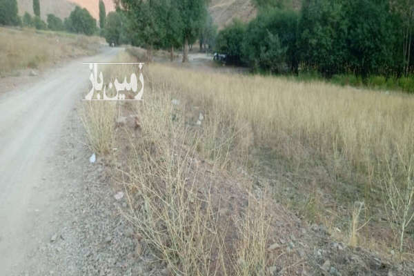 زمین کشاورزی جاده چالوس روستای ازادبر ۳۰۰۰ متر-1