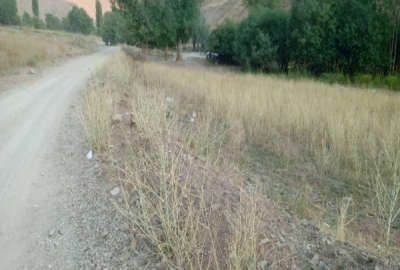 زمین کشاورزی جاده چالوس روستای ازادبر ۳۰۰۰ متر
