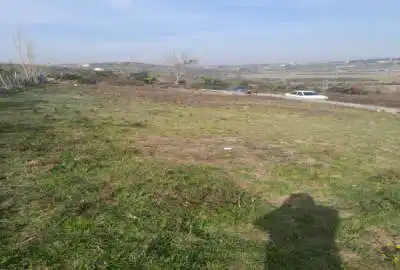 زمین ۶۰۲ متری در قائمشهر جاده نظامی روستای رنگریزکلا