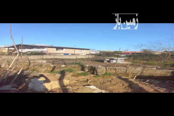 زمین مسکونی در کیازنیک ۳۰۰ متر-1