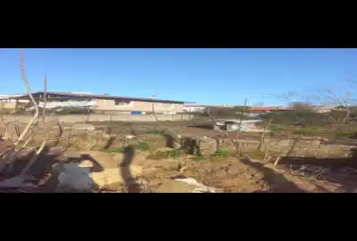 زمین مسکونی در کیازنیک ۳۰۰ متر