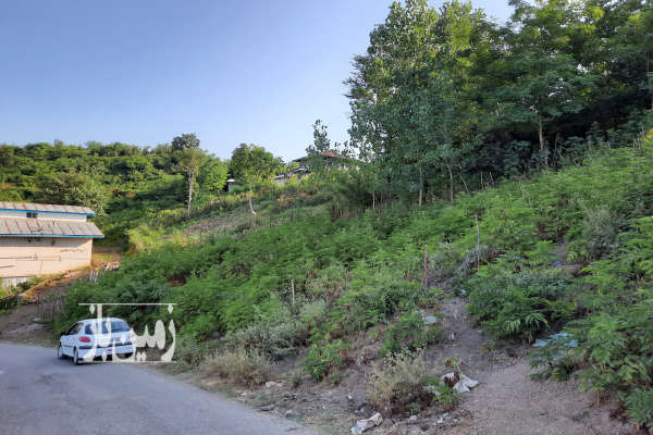 زمین مسکونی ۳۴۰ متری روستایی واقع در اشیان اطاقور-4