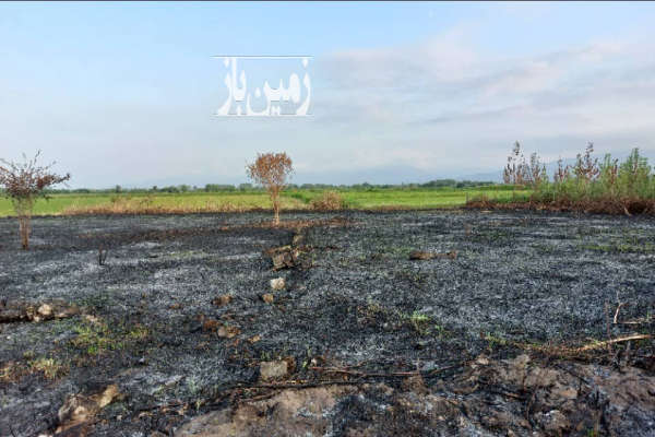 زمین ۴۱۳ متر سند دار کرف محله املش-4