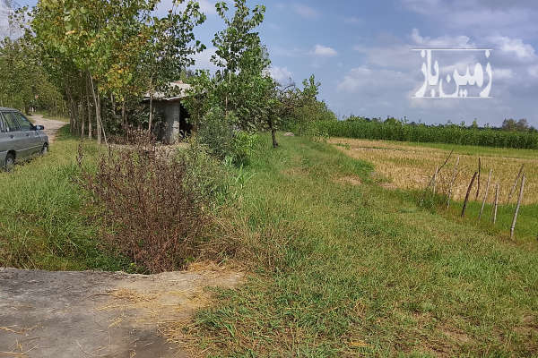 زمین باغی داخل طرح کنار خیابان تمام امتیازات سر زمین-1