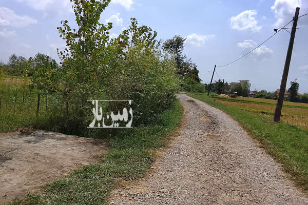 زمین باغی داخل طرح کنار خیابان تمام امتیازات سر زمین-4