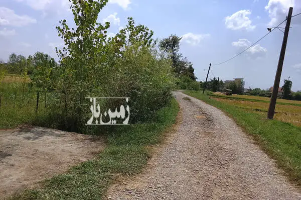 زمین باغی داخل طرح کنار خیابان تمام امتیازات سر زمین - تصویر 4