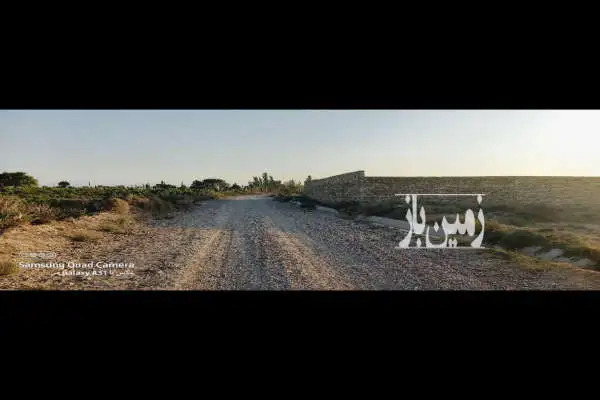 باغ انگور سند تک برگ با سهم آب در تاکستان ۹۲۸ متر - تصویر 2