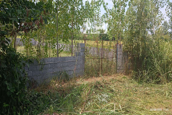 زمین ۱۰۰۰متری جاده انزلی شکار اسطلخ روستای ویشگاه-2