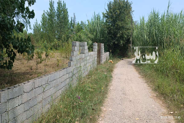 زمین ۱۰۰۰متری جاده انزلی شکار اسطلخ روستای ویشگاه-3