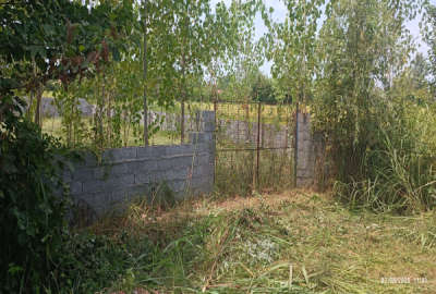 زمین ۱۰۰۰متری جاده انزلی شکار اسطلخ روستای ویشگاه