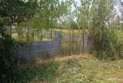 زمین ۱۰۰۰متری جاده انزلی شکار اسطلخ روستای ویشگاه