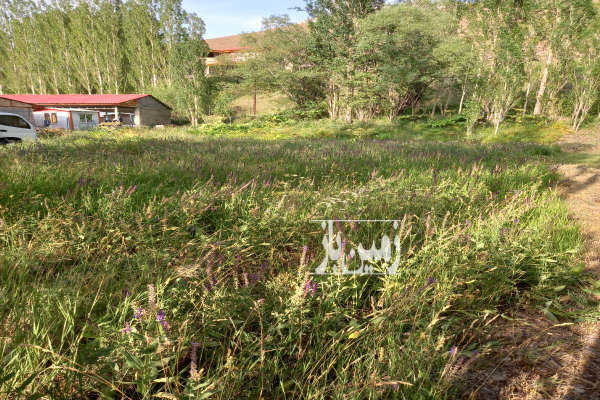 زمین ۵۵۰ متر جاده چالوس روستای ازادبر آسارا-3