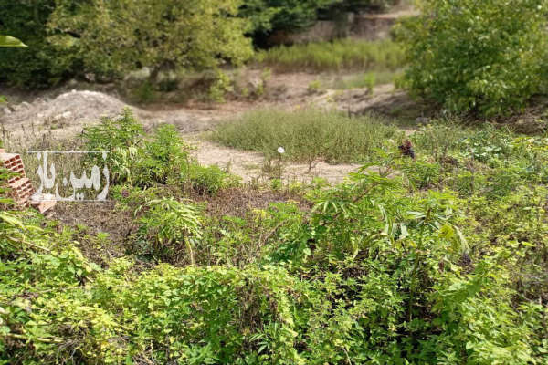 زمین مسکونی در روستای متکازین ۴۰۰ متر-1