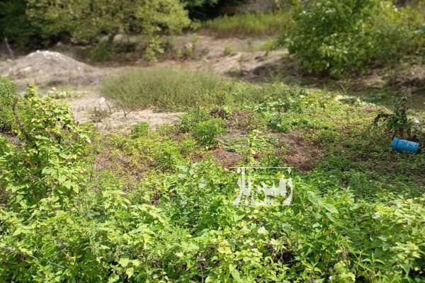 زمین مسکونی در روستای متکازین ۴۰۰ متر-4