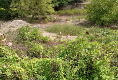 زمین مسکونی در روستای متکازین ۴۰۰ متر