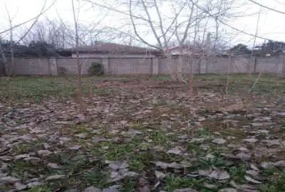 زمین مسکونی در طاهرگوراب ۲۰۰ متری با سند تک برگ