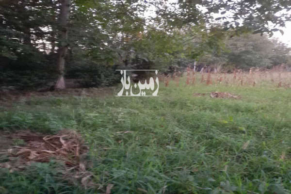 زمین خانه باغ متراژ ۴۰۰ روستای ابراهیم سرا-1