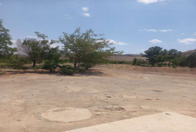 زمین کشاورزی ۶۰۰۰۰ متر روستای مهیار دشت مهیار