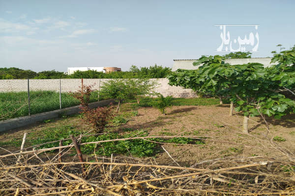 زمین ۱۵۰متری درشهر ساری ۲۲ بهمن استاد شهریار-4