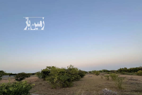 زمین مسکونی متراژ ۳۰۰ پلاک ۱ دارای کوچه ۸ متری-2