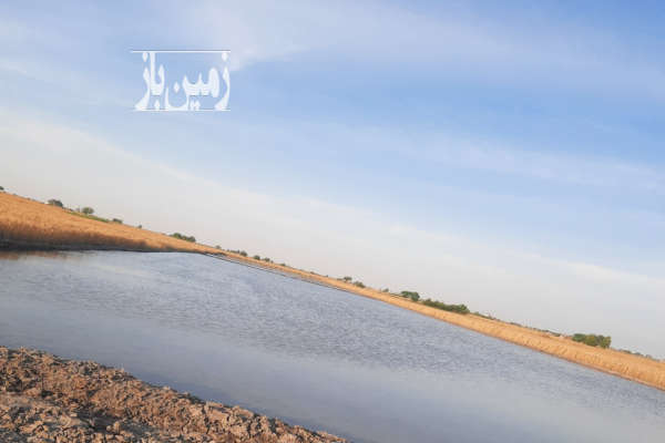 زمین مسکونی نیم هکتار به همراه چاه آب روستای هاشم آباد-1