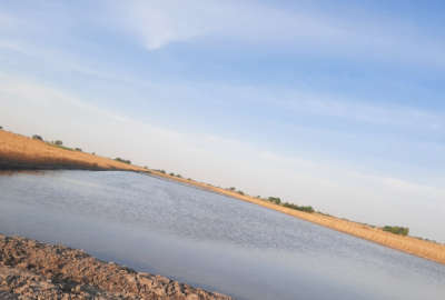 زمین مسکونی نیم هکتار به همراه چاه آب روستای هاشم آباد