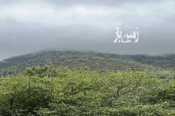 زمین مسکونی در کجور روستای لاشک ۳۰۰ متر-1