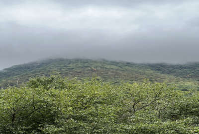زمین مسکونی در کجور روستای لاشک ۳۰۰ متر