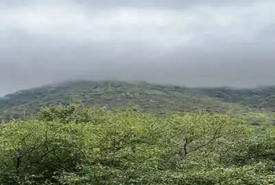 زمین مسکونی در کجور روستای لاشک ۳۰۰ متر