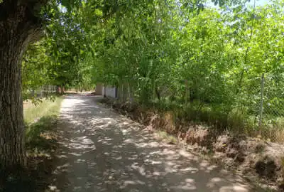 فروش زمین شهر دستجرد قم به مساحت ۸۰۰ متر