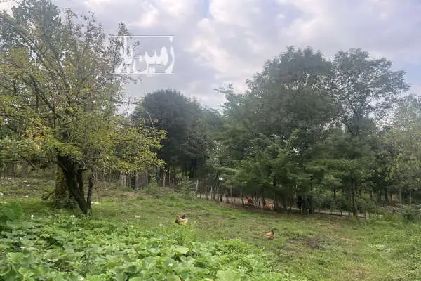 فروش زمین۲۵۰ متری روستای کلنادان سیاهکل مسکونی - تصویر 2