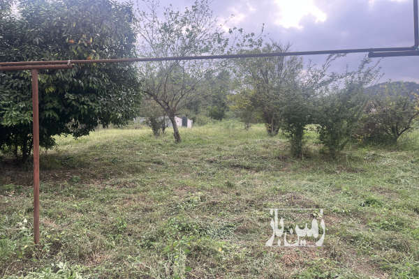 فروش زمین۲۵۰ متری روستای کلنادان سیاهکل مسکونی-4