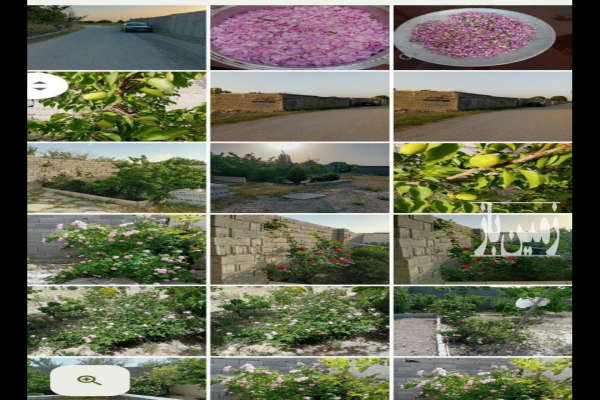 فروش زمین چهار دیواری بر آسفالت سعید آباد ایقر بلاق-3