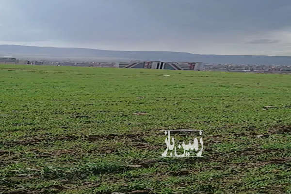 فروش زمین کشاورزی ۶۰۰۰ متر آبی جاده شاهیندژ هاچه سو-1