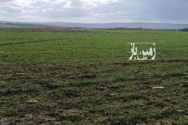 فروش زمین کشاورزی ۶۰۰۰ متر آبی جاده شاهیندژ هاچه سو - تصویر 3