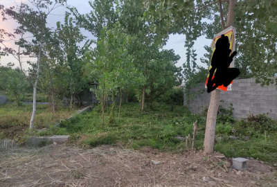 ۲۰۰ متر زمین مسکونی در شهر خمام کوی ولیعصر