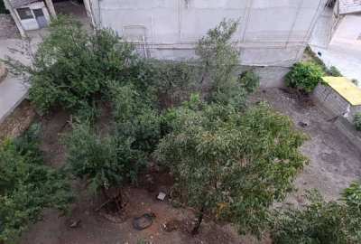 زمین مسکونی ۲۰۰ در زیراب پلاک دوم جاده اصلی