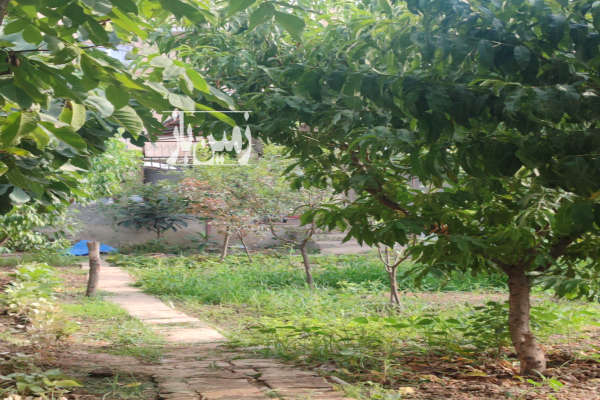 فروش خانه باغ دارای اتاق ۵۰ متری در جلین-1